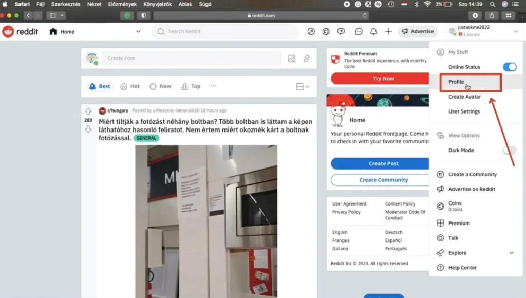 Reddit Profile in Browser