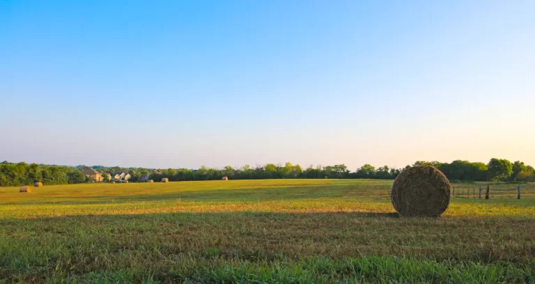 The Reality of Owning Land Unveiling the Untold Truths