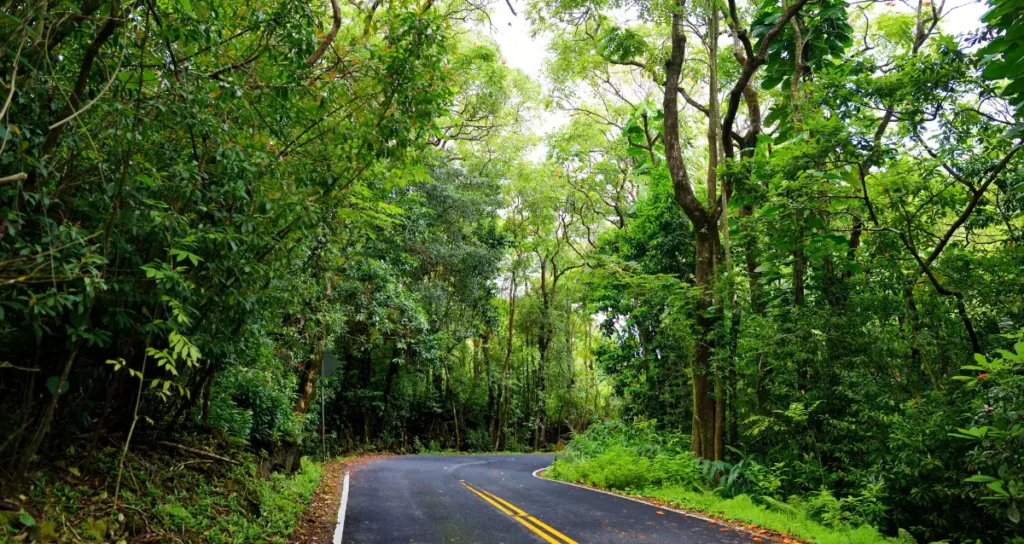 Road to Hana