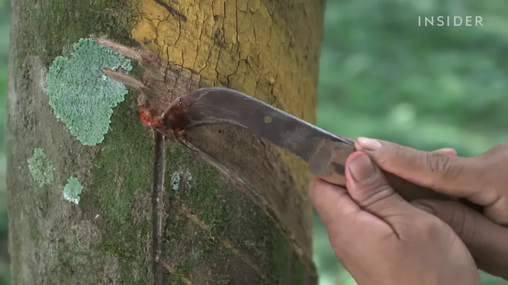 Harvesting the Latex