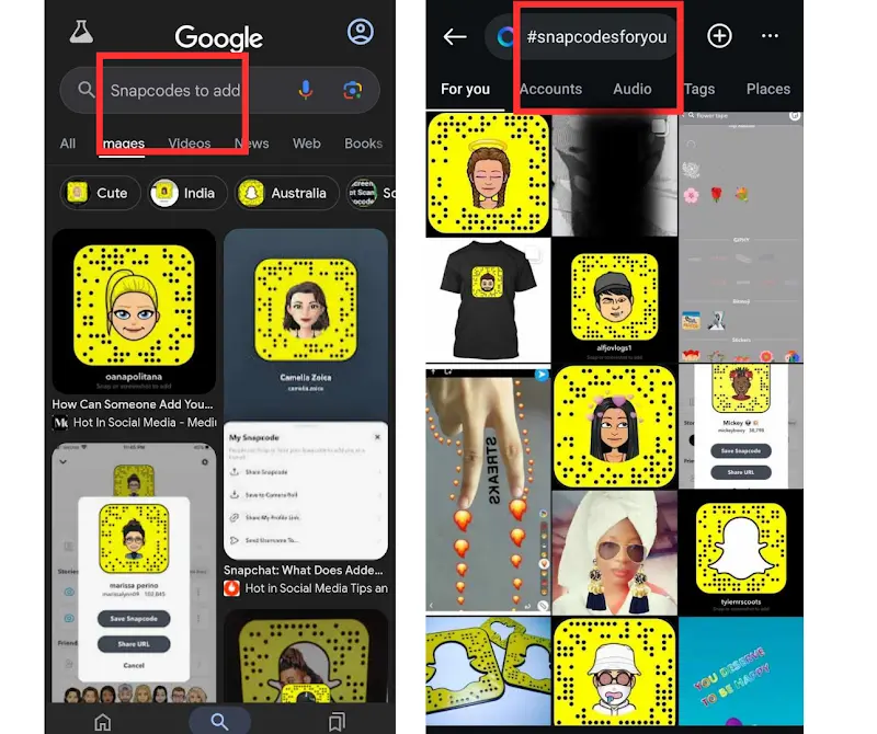 Scan Snapcodes