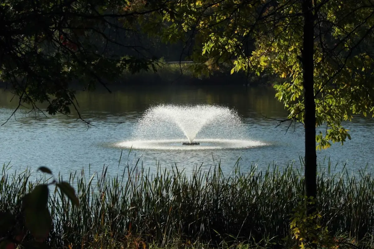 The Ultimate Checklist for Choosing a Fountain Tech Company You Can Trust for the Long-Term