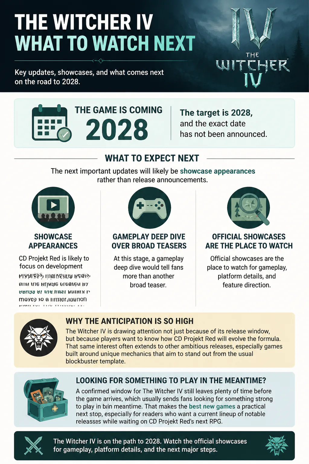 Infographic about The Witcher IV